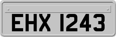 EHX1243