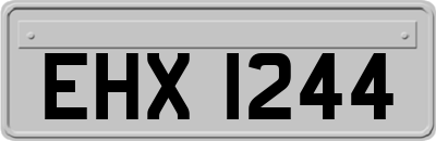EHX1244