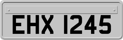 EHX1245
