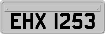 EHX1253