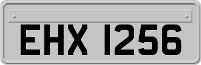 EHX1256