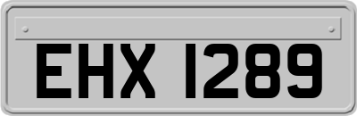 EHX1289