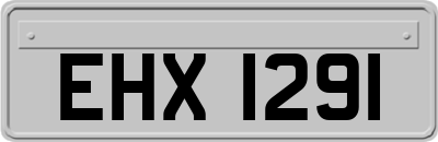 EHX1291