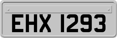 EHX1293