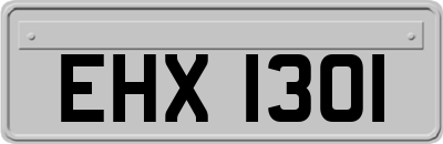 EHX1301