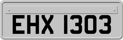 EHX1303