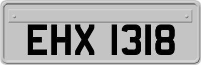 EHX1318