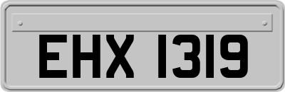 EHX1319