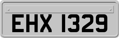 EHX1329
