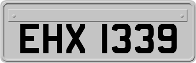 EHX1339