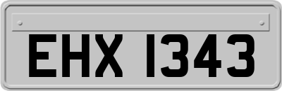EHX1343
