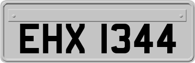 EHX1344