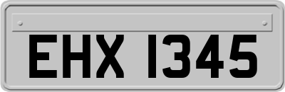 EHX1345