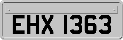 EHX1363