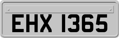 EHX1365