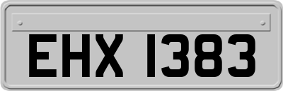 EHX1383