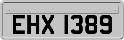 EHX1389