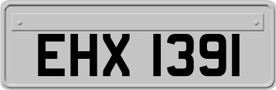 EHX1391