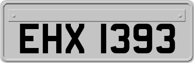 EHX1393