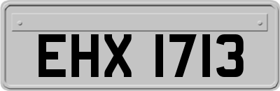 EHX1713