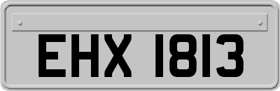 EHX1813