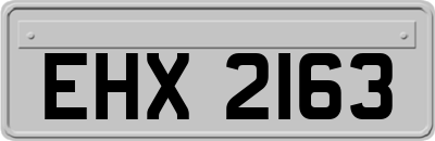 EHX2163