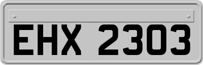 EHX2303