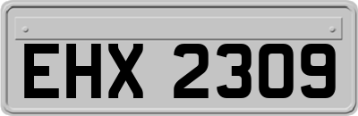 EHX2309