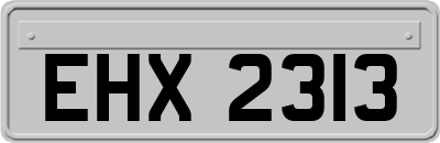 EHX2313
