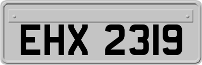 EHX2319