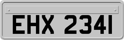 EHX2341