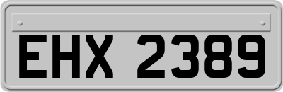 EHX2389