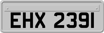 EHX2391