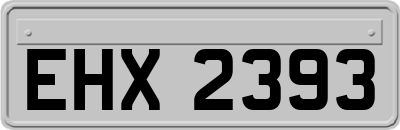 EHX2393