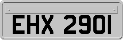 EHX2901