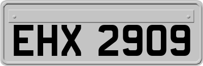 EHX2909