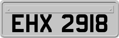 EHX2918