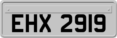 EHX2919