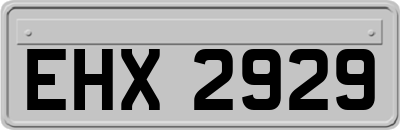 EHX2929
