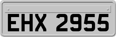 EHX2955
