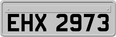 EHX2973