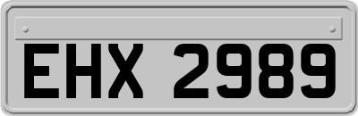 EHX2989