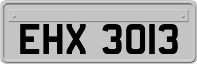 EHX3013