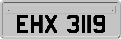 EHX3119