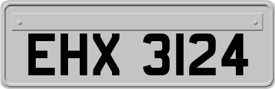 EHX3124