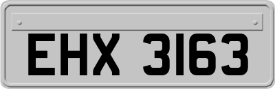 EHX3163