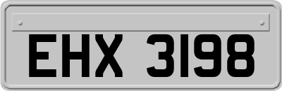 EHX3198