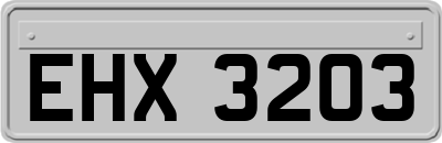 EHX3203