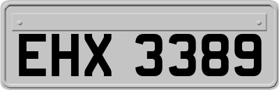 EHX3389