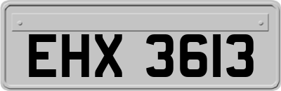 EHX3613